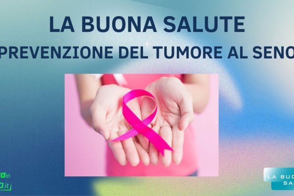 Актуальная информация о krab8 at